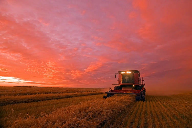 Working Late To Bring In The Crop