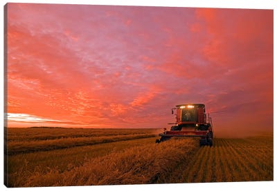 Working Late To Bring In The Crop Canvas Art Print