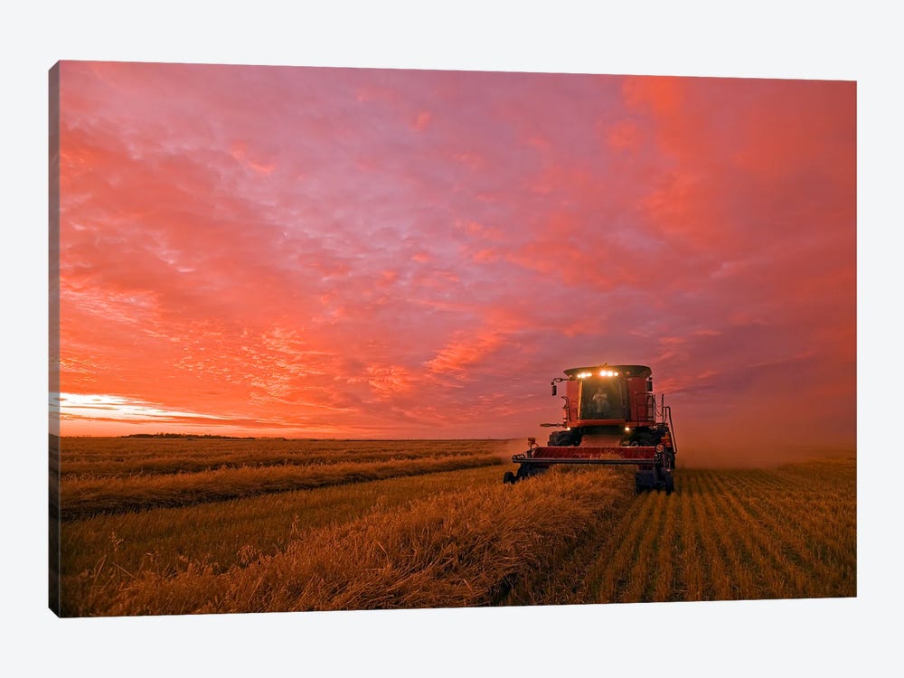 Working Late To Bring In The Crop by Dave Reede 1-piece Canvas Artwork