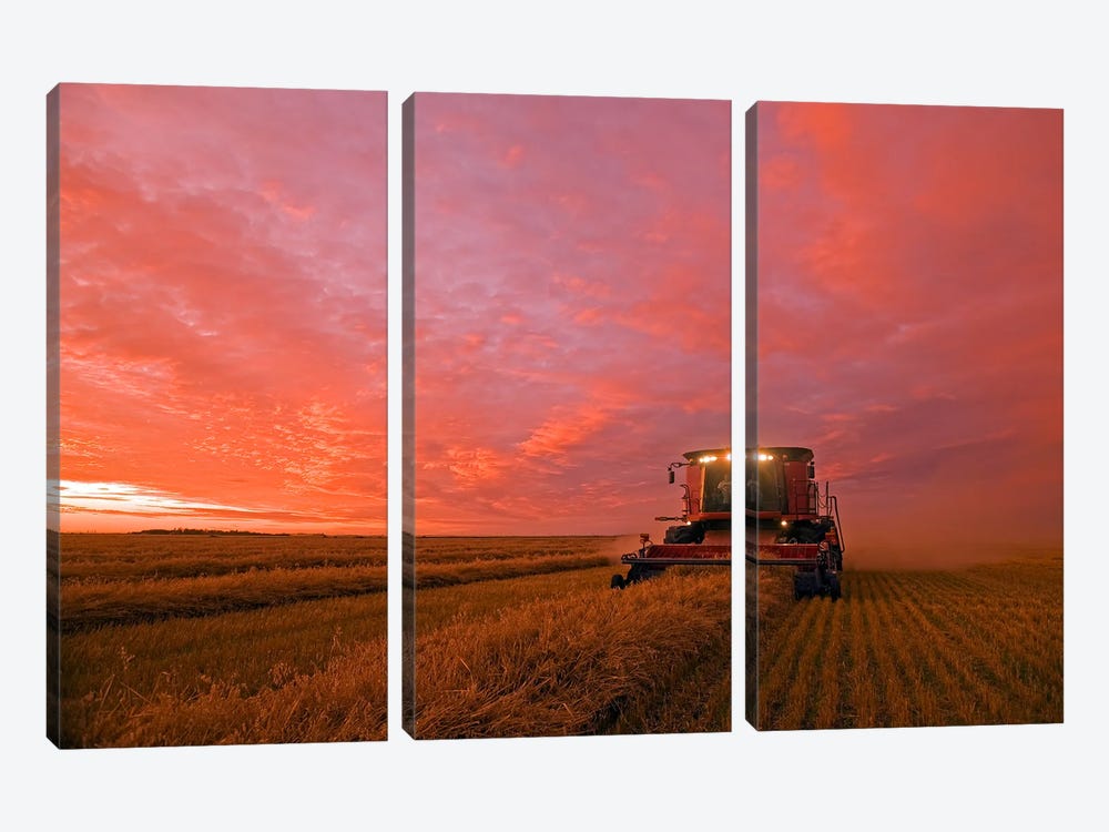 Working Late To Bring In The Crop by Dave Reede 3-piece Canvas Art