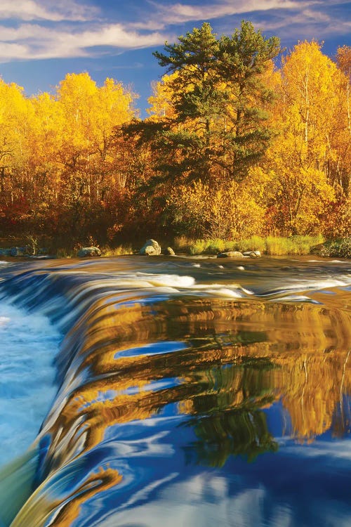 Autumn Along The Whiteshell River