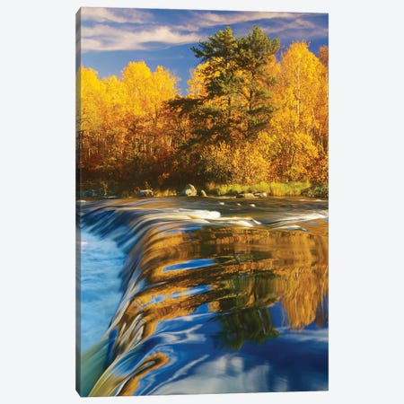 Autumn Along The Whiteshell River Canvas Print #RVD91} by Dave Reede Art Print