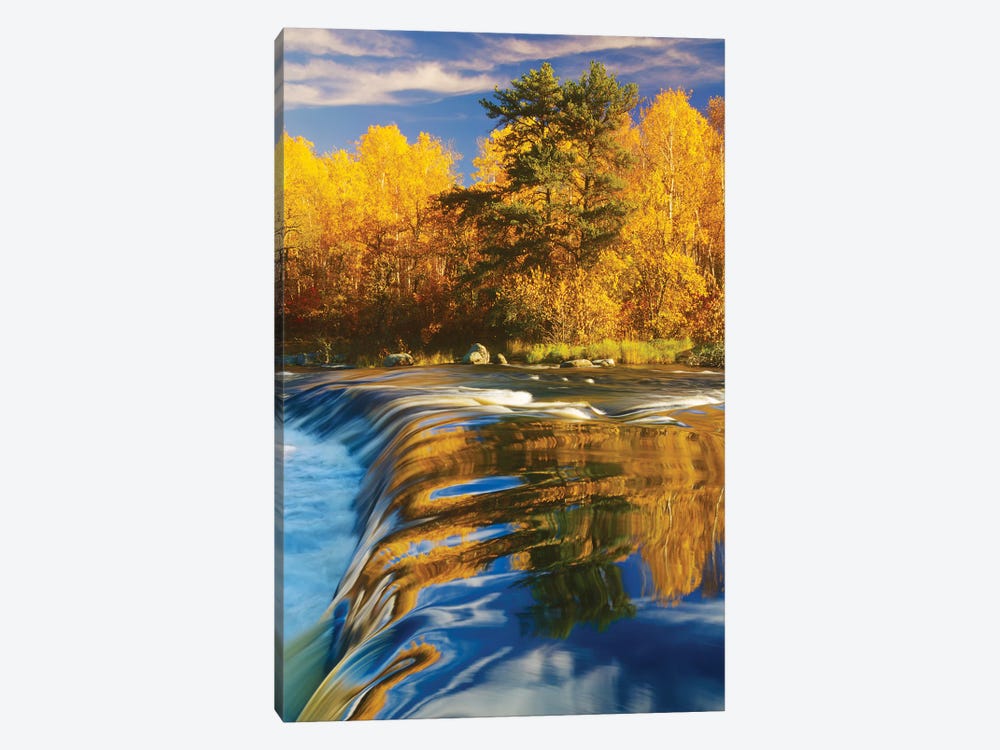 Autumn Along The Whiteshell River by Dave Reede 1-piece Canvas Artwork