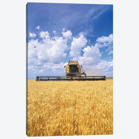 Barley Harvest On The Prairies Canvas Print #RVD94} by Dave Reede Canvas Artwork