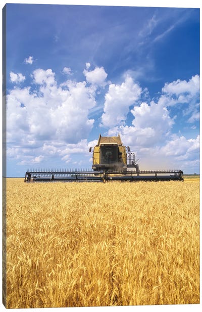 Barley Harvest On The Prairies Canvas Art Print - Field, Grassland & Meadow Art