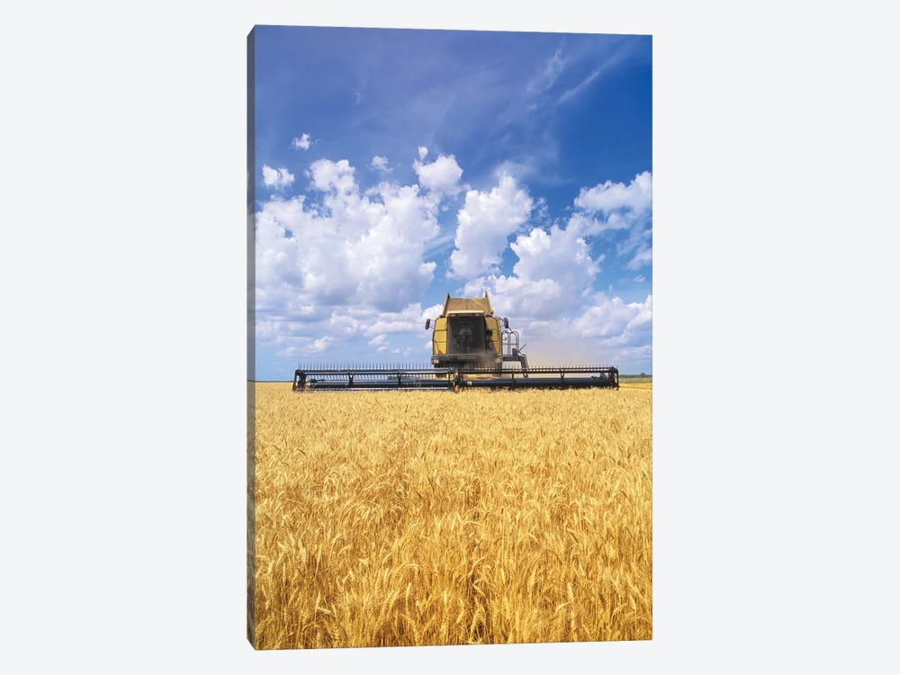 Barley Harvest On The Prairies by Dave Reede 1-piece Art Print