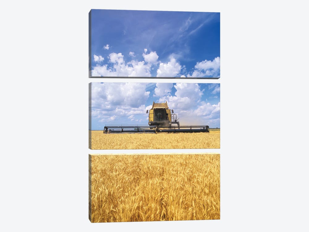 Barley Harvest On The Prairies by Dave Reede 3-piece Canvas Art Print