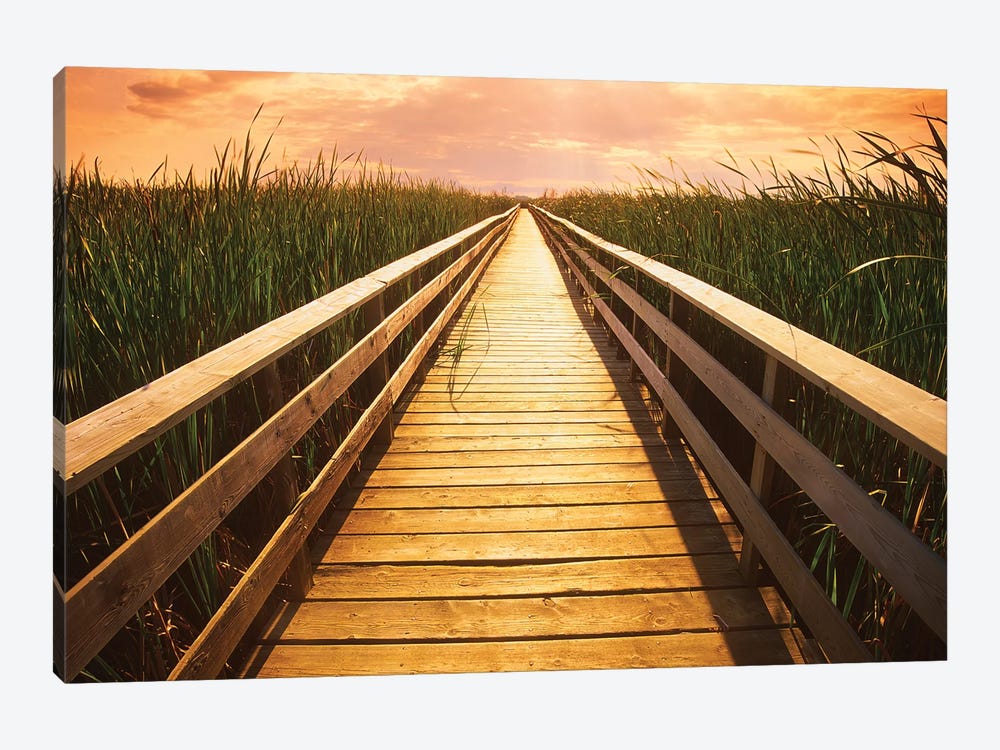 Boardwalk Through The Marsh by Dave Reede 1-piece Canvas Artwork