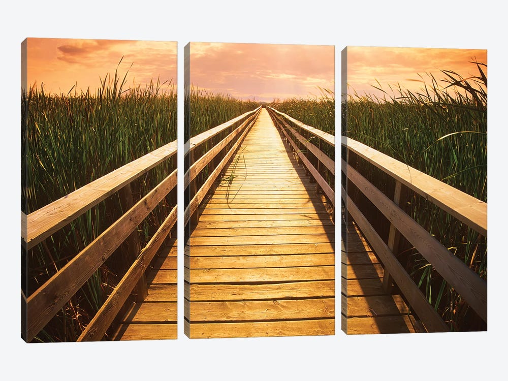 Boardwalk Through The Marsh by Dave Reede 3-piece Canvas Artwork