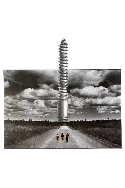 A Screw by Richard Vergez framed canvas print