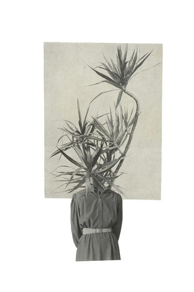 Growth by Richard Vergez canvas print