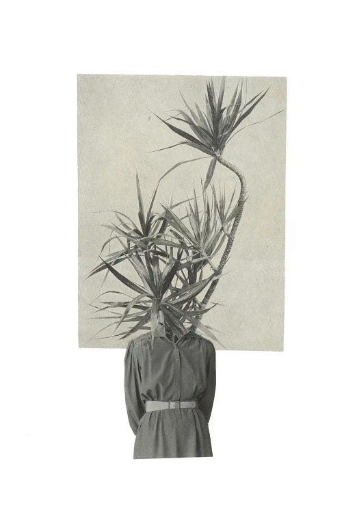 Growth by Richard Vergez wall art