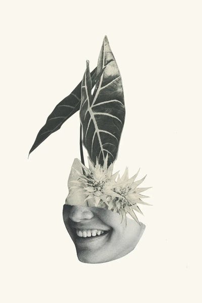 Plant Life by Richard Vergez framed canvas print