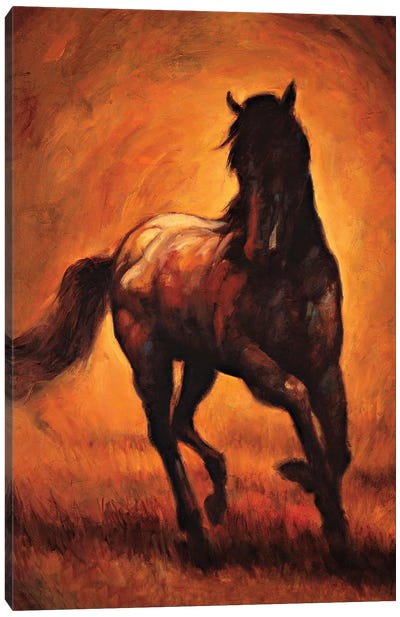 Stallion I Canvas Art Print