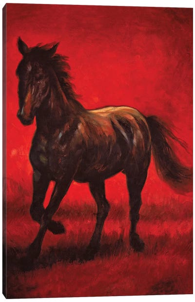 Stallion II Canvas Art Print