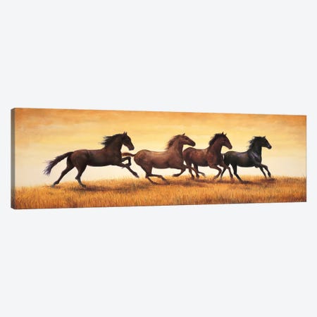 Stallions at Sunset Canvas Print #RVG3} by Ricardo Vargas Canvas Art