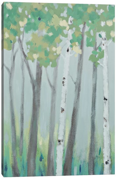 Forest View I Canvas Art Print