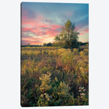 Grateful For The Day Canvas Print #RVR16} by John Rivera Canvas Wall Art