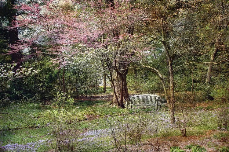 Spring by John Rivera wall art
