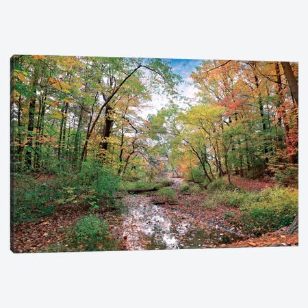 Autumn At Hopkins Pond Canvas Print #RVR3} by John Rivera Canvas Wall Art