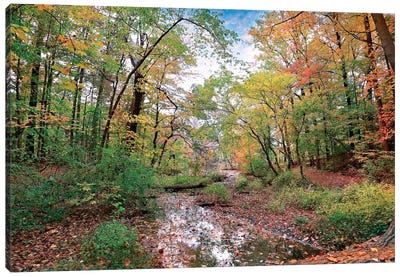 Autumn At Hopkins Pond Canvas Art Print