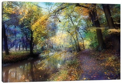 Autumn Walk Canvas Art Print