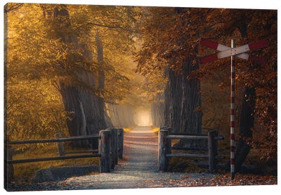 Autumn Passage Canvas Art Print - Rob Visser
