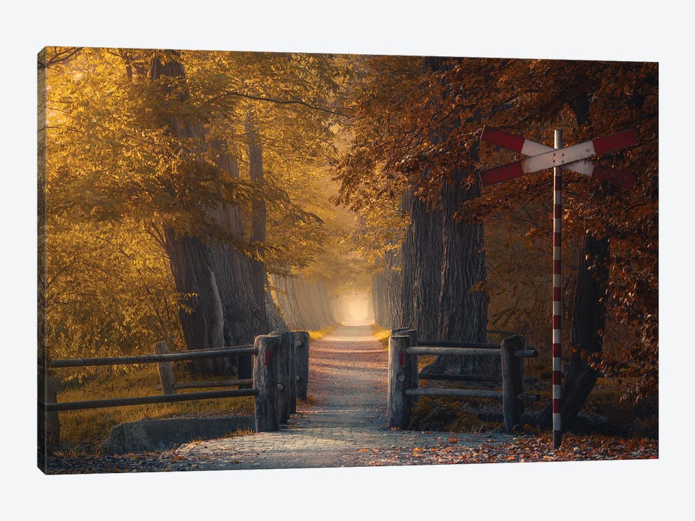 Autumn Passage by Rob Visser 1-piece Canvas Art Print