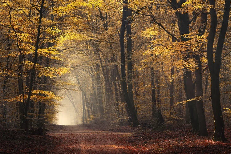 Portal To Autumn