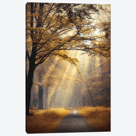 Forest Of Fortune Canvas Print #RVS107} by Rob Visser Canvas Art