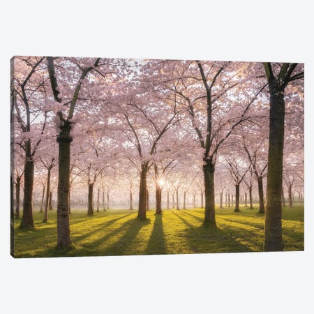 Blossom Park Pink Amstelveen Canvas Print #RVS10} by Rob Visser Canvas Art