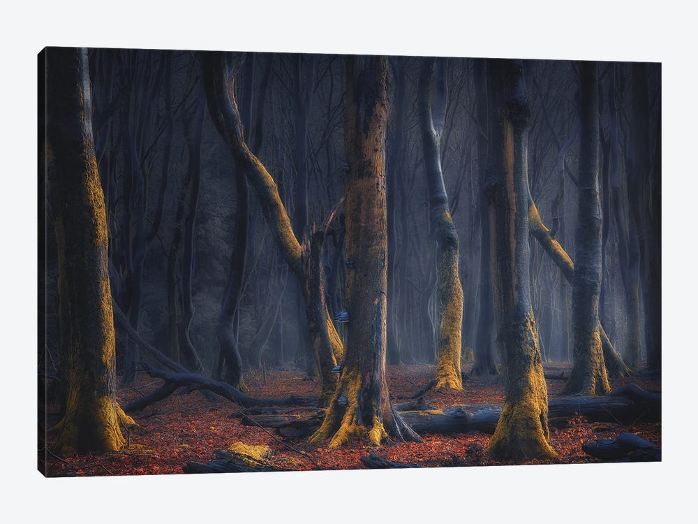 Dancers Of The Night by Rob Visser 1-piece Canvas Print