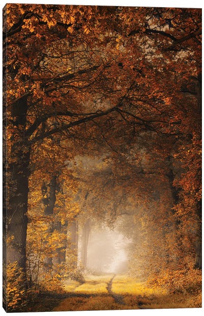 Framed In Autumn Canvas Art Print - Mist & Fog Art