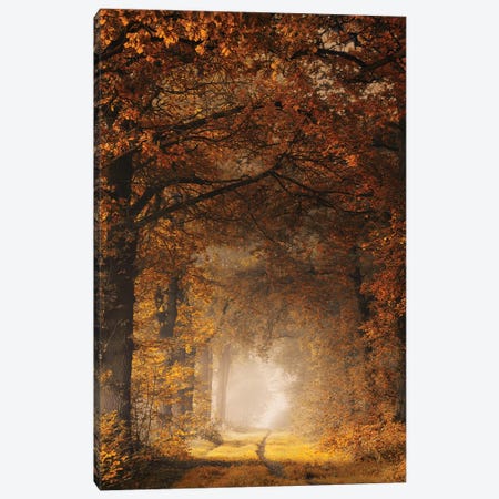 Framed In Autumn Canvas Print #RVS16} by Rob Visser Canvas Art Print