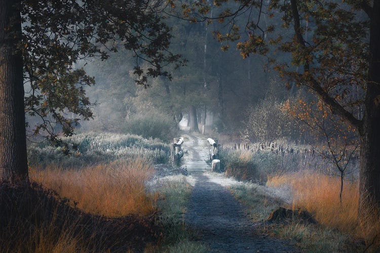 Frosty Crossing by Rob Visser wall art