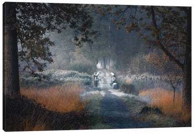 Frosty Crossing Canvas Art Print - Mist & Fog Art