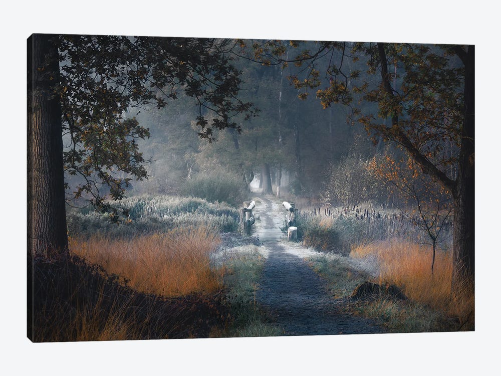 Frosty Crossing by Rob Visser 1-piece Canvas Art