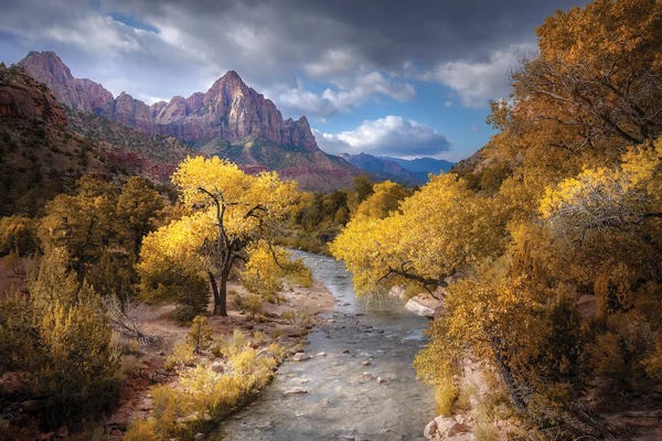 Canyons: Gold Zion National Park by Rob Visser
