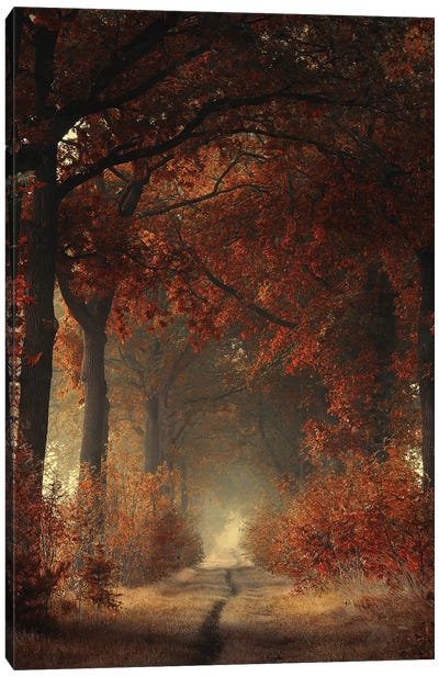 A Warm Welcome Canvas Art Print - Atmospheric Photography