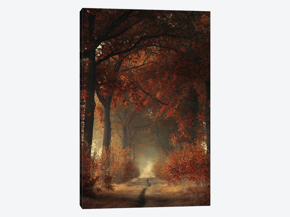 A Warm Welcome by Rob Visser 1-piece Canvas Wall Art