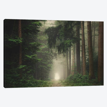 Green Foggy And Atmospheric Forest Canvas Print #RVS21} by Rob Visser Canvas Art Print