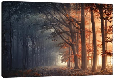 Hot And Cold Canvas Art Print - Fine Art Photography