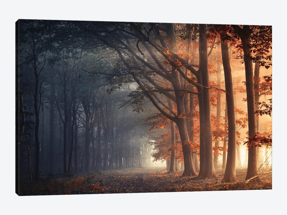 Hot And Cold by Rob Visser 1-piece Canvas Wall Art