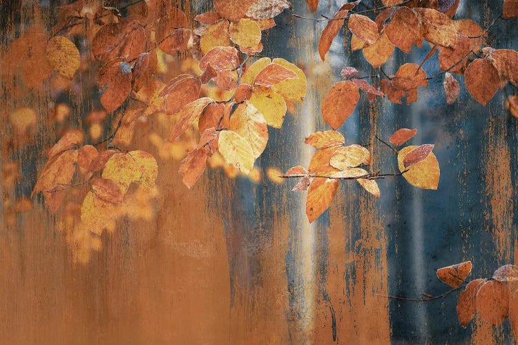 Industrial Picturesque Rusty Autumn Leaves