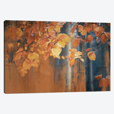 Industrial Picturesque Rusty Autumn Leaves Canvas Print #RVS25} by Rob Visser Canvas Art