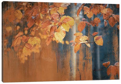 Industrial Picturesque Rusty Autumn Leaves Canvas Art Print