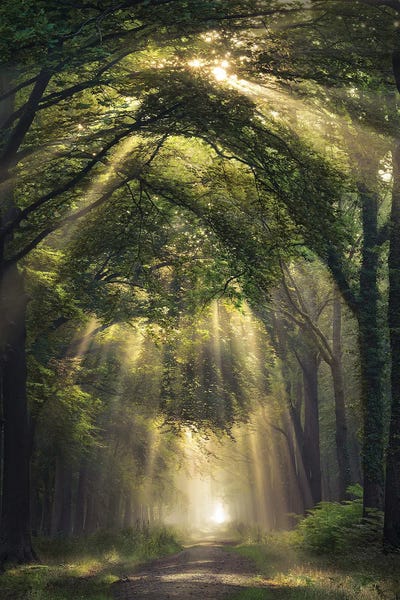 Atmospheric Photography: Overture by Rob Visser