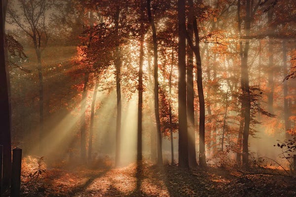 Atmospheric Photography: Overwhelmed by Rob Visser