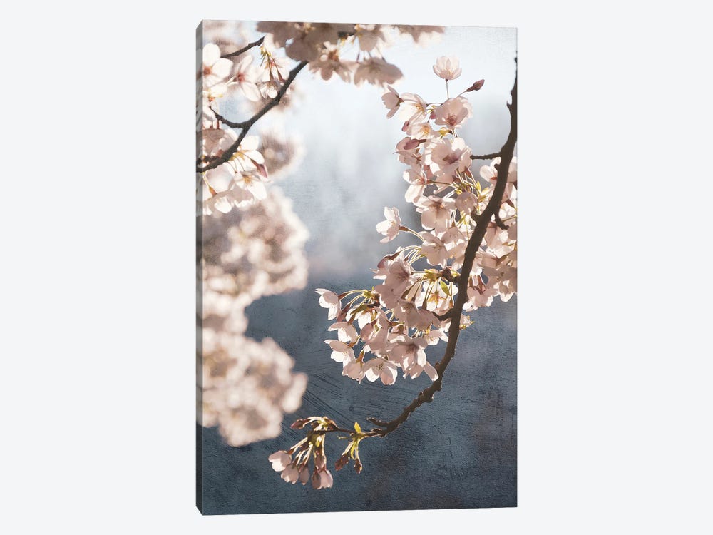 Picturesque Spring Blossom II by Rob Visser 1-piece Canvas Art