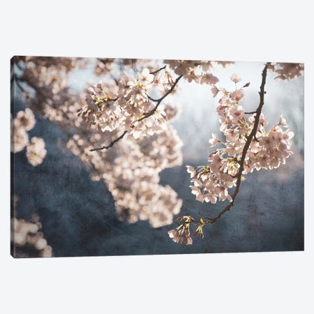 Picturesque Spring Blossom Canvas Print #RVS38} by Rob Visser Canvas Artwork